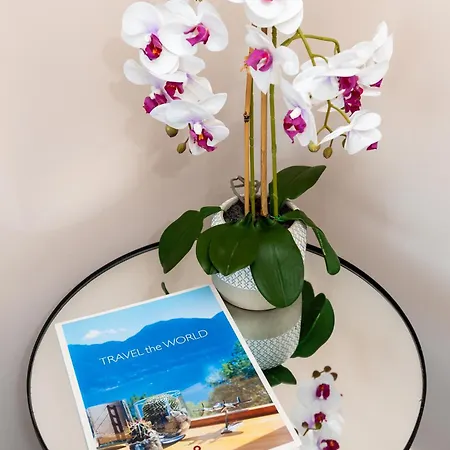 호텔 Cascais Hotel 3*
